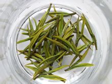 安吉白茶