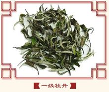 白牡丹茶