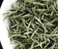 白茶 白茶